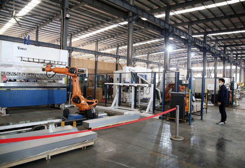 河南西平 智能驱动，加速畜牧设备产业转型升级